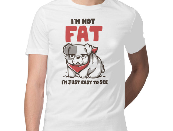 I'm Just Easy To See