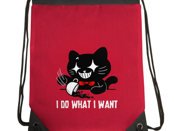 I Do What I Want Cat
