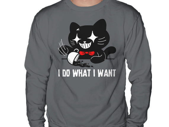 I Do What I Want Cat