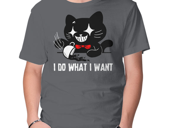 I Do What I Want Cat