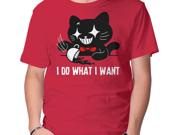 I Do What I Want Cat