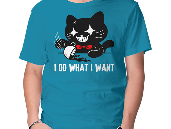 I Do What I Want Cat