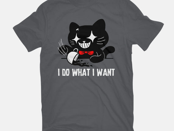 I Do What I Want Cat