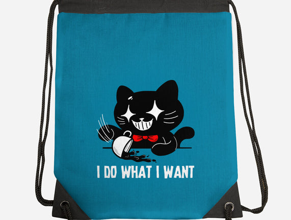I Do What I Want Cat
