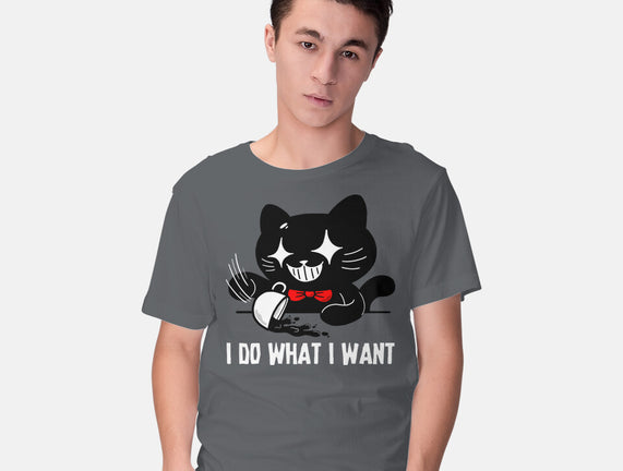 I Do What I Want Cat