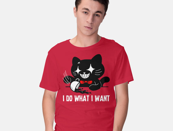 I Do What I Want Cat