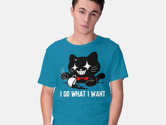 I Do What I Want Cat