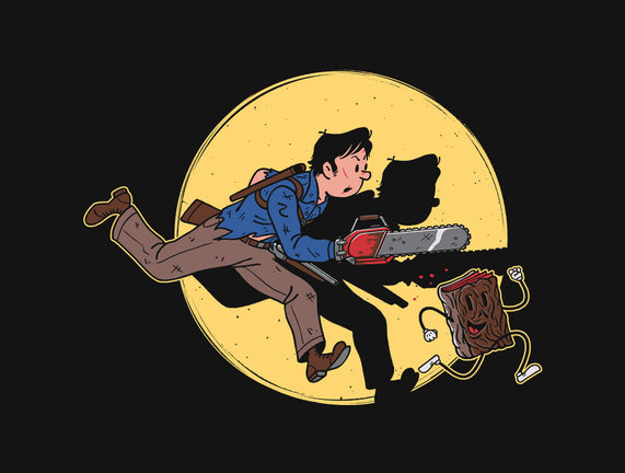 The Adventures Of Ash