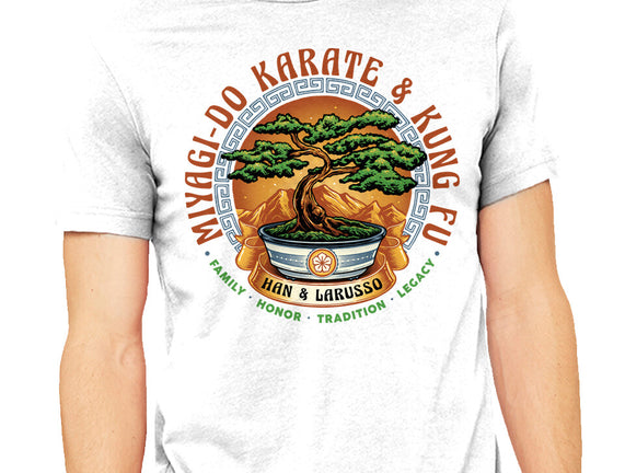 Karate And Kung Fu