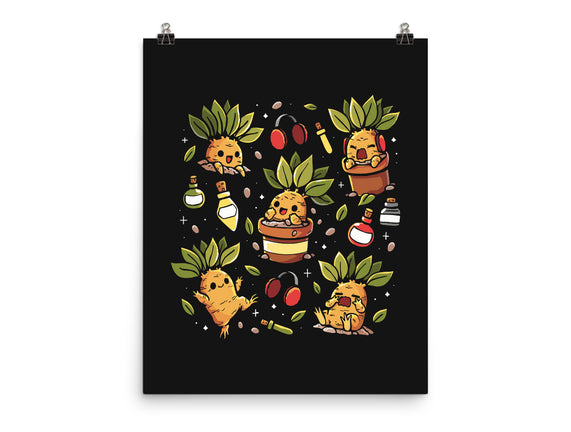 Mandrake Family