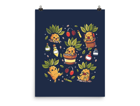 Mandrake Family
