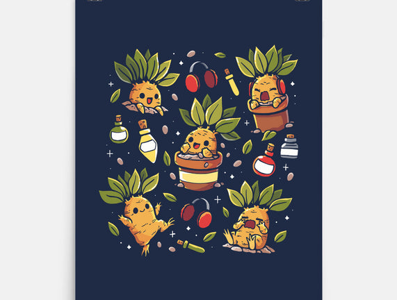 Mandrake Family