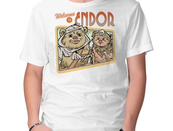 Welcome To Endor