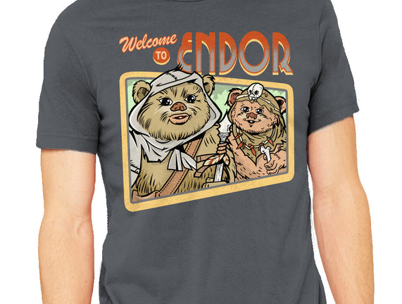 Welcome To Endor
