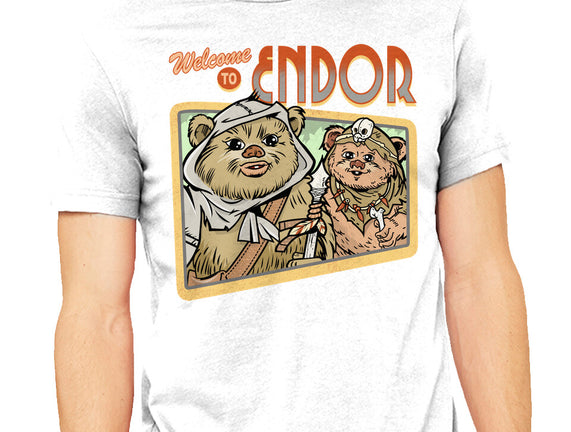 Welcome To Endor