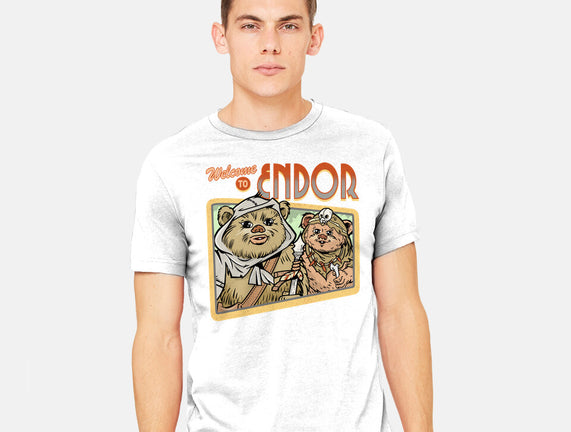 Welcome To Endor