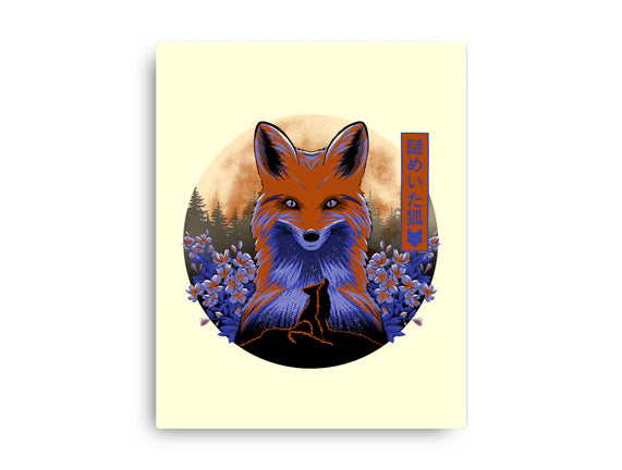 Mysterious Fox