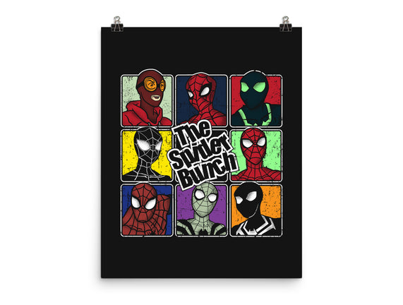 The Spider-man Bunch