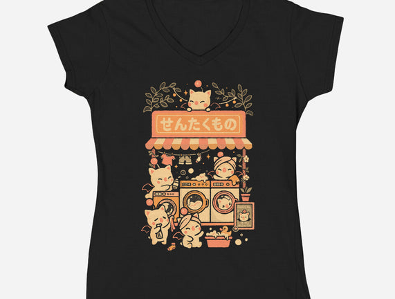 Fantasy Laundry