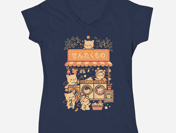 Fantasy Laundry