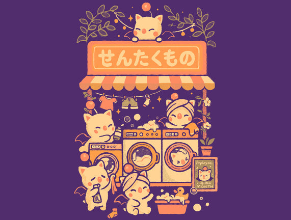 Fantasy Laundry