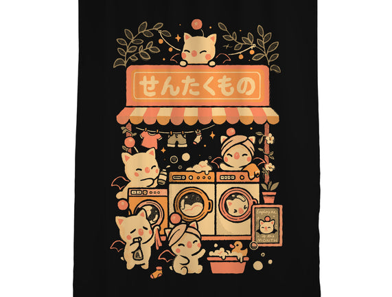 Fantasy Laundry