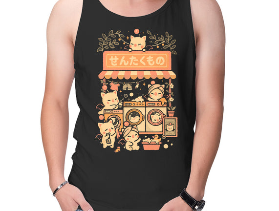 Fantasy Laundry