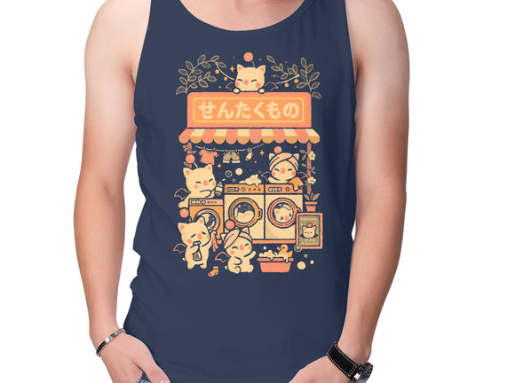 Fantasy Laundry