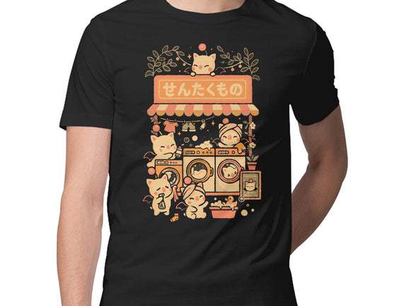 Fantasy Laundry