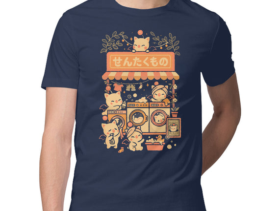 Fantasy Laundry