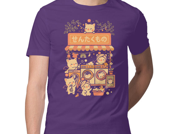Fantasy Laundry