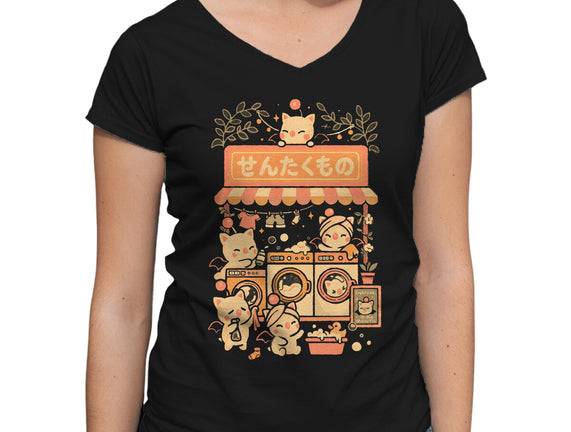 Fantasy Laundry