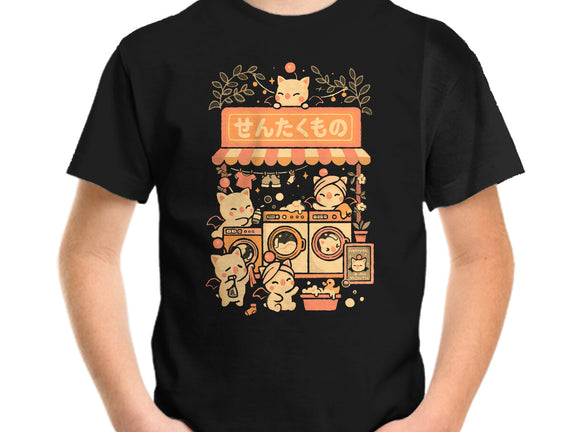 Fantasy Laundry