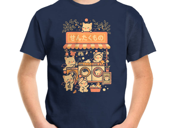 Fantasy Laundry