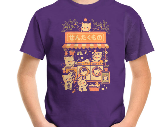 Fantasy Laundry