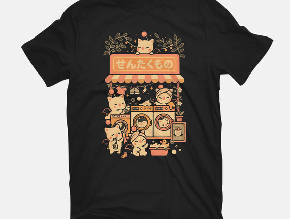 Fantasy Laundry