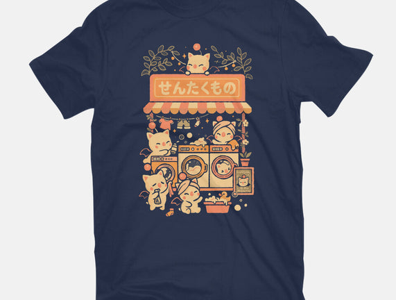 Fantasy Laundry