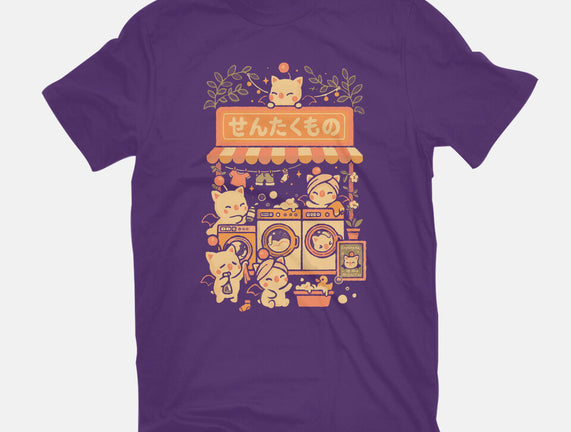Fantasy Laundry