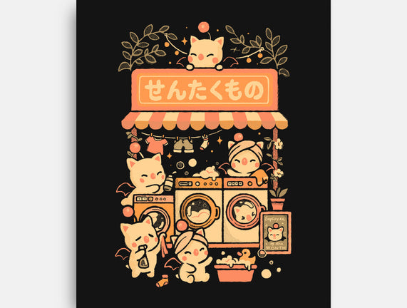 Fantasy Laundry