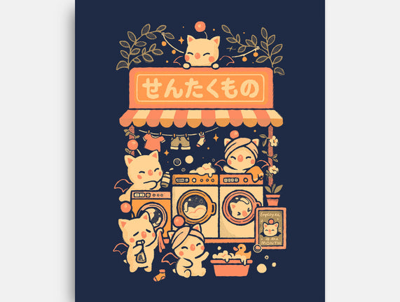 Fantasy Laundry