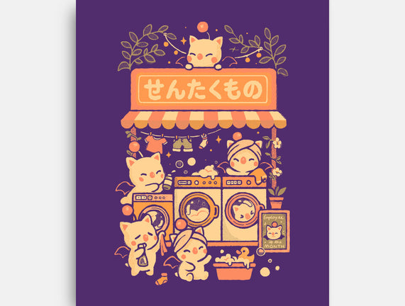 Fantasy Laundry