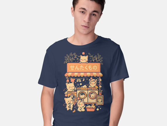 Fantasy Laundry