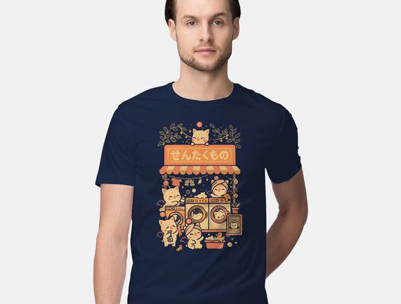 Fantasy Laundry