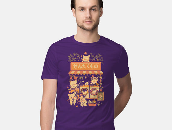 Fantasy Laundry