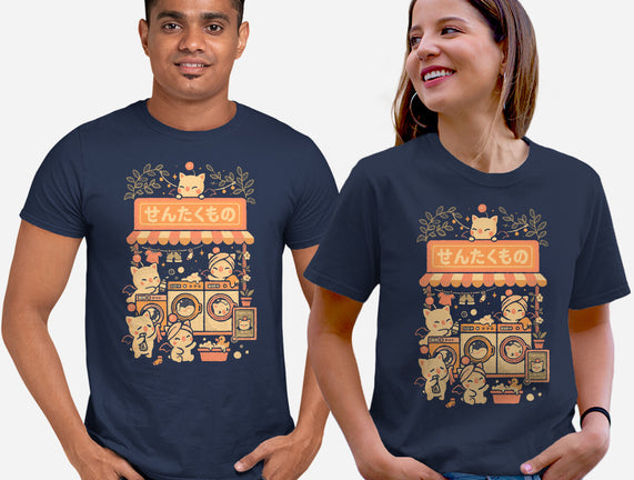Fantasy Laundry