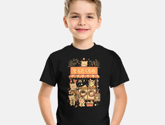Fantasy Laundry