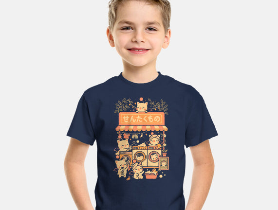 Fantasy Laundry