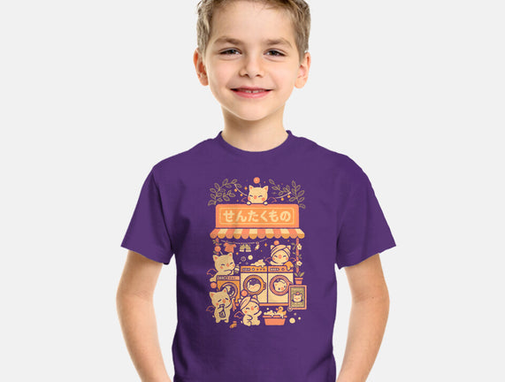 Fantasy Laundry