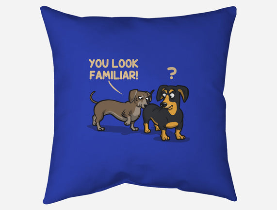 You Look Familiar