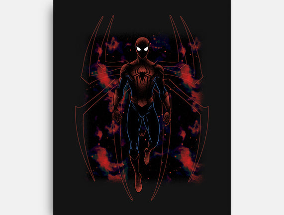 Spider Shadow Nebula